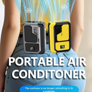 Portable cooler/fan